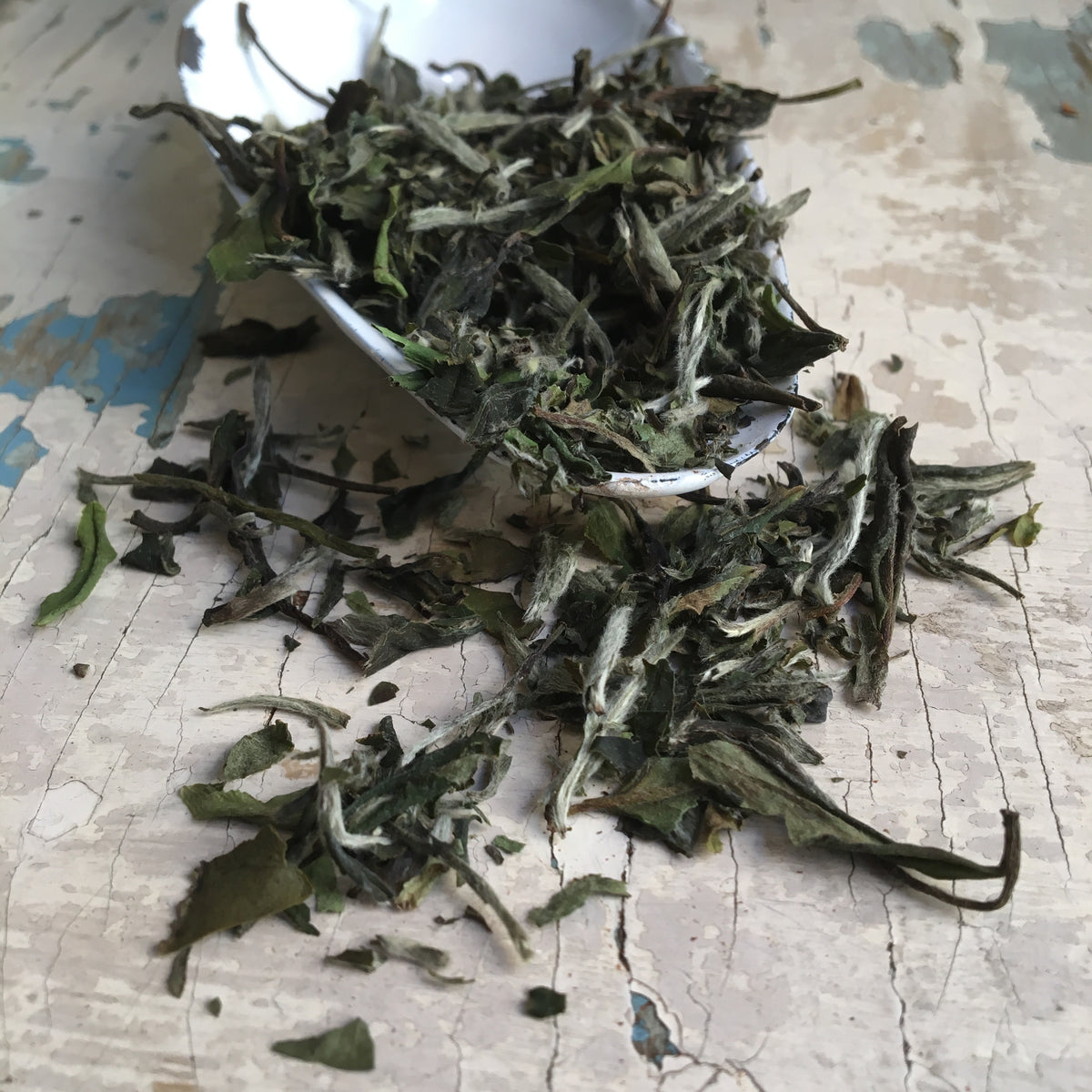 Herbata biała Pai Mu Tan - 50g
