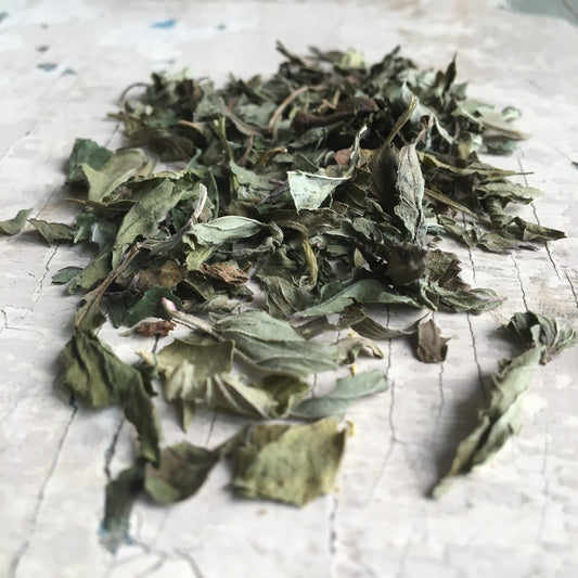 Liście melisy - 30g